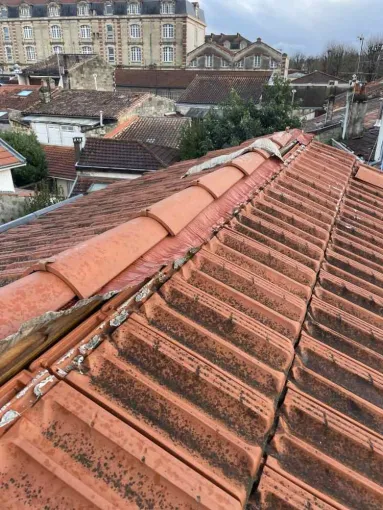 Remplacement d’un closoir sur faîtage à Fouras, Rochefort, GALOPIN Toiture