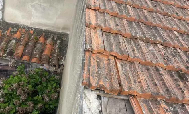 Travaux sur rive à Rochefort, Rochefort, GALOPIN Toiture