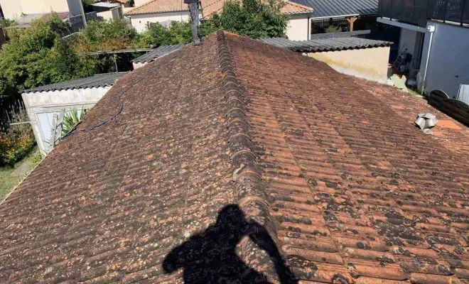 Traitement de tuile à La Rochelle, Rochefort, GALOPIN Toiture