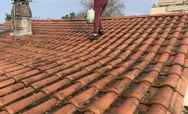 Traitement de tuiles à Rochefort, Rochefort, GALOPIN Toiture