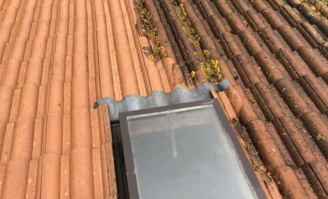 Traitement de tuiles à Surgères, Rochefort, GALOPIN Toiture