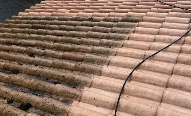 Traitement de tuiles à Surgères, Rochefort, GALOPIN Toiture
