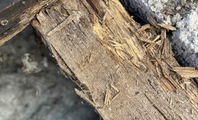 Remplacement de charpente bois à breuille magner, Rochefort, GALOPIN Toiture